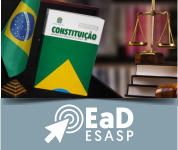 EAD: NOÇÕES DE DIREITO CONSTITUCIONAL