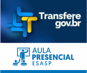 GESTÃO DE EMENDAS PARLAMENTARES: LEGISLAÇÃO, PLANEJAMENTO, EXECUÇÃO E OPERACIONALIZAÇÃO NO TRANSFEREGOV.BR